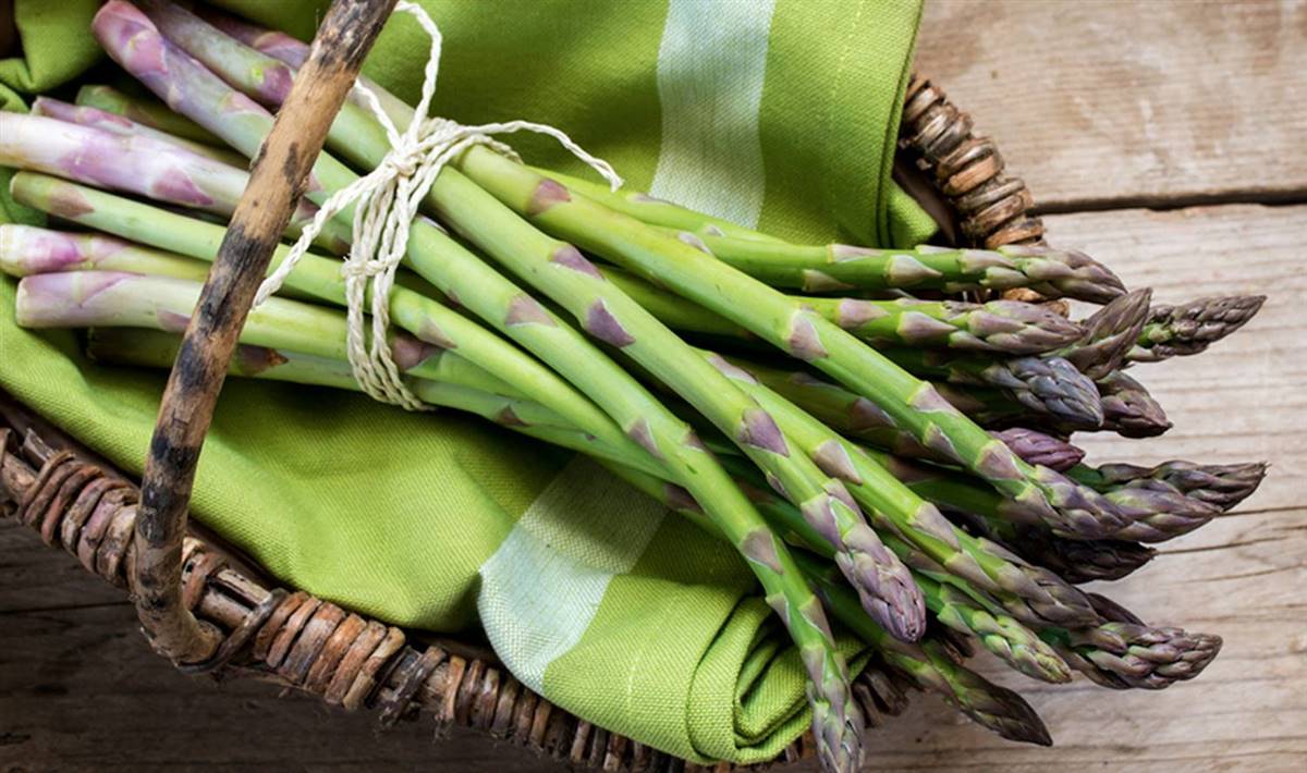 Alimentos Que Tienen Acido Urico