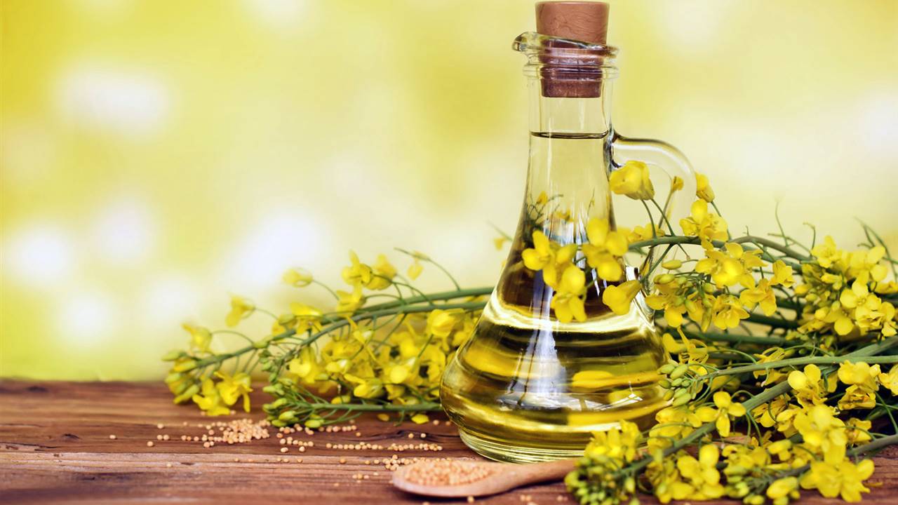 Aceite de colza: Beneficios, usos y consideraciones