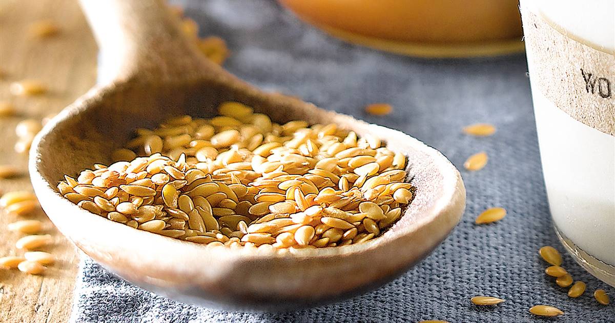 Germinado de trigo: nutrición, propiedades y cómo prepararlo - Mejor con  Salud