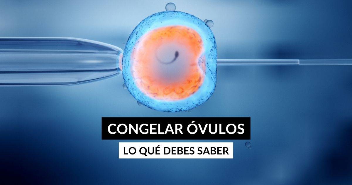 Humedad acortar corriente Te planteas congelar tus óvulos? Todo lo que necesitas saber sobre la vitrificación de óvulos Humedad acortar corriente Te planteas congelar tus óvulos? Todo lo que necesitas saber sobre la vitrificación de óvulos