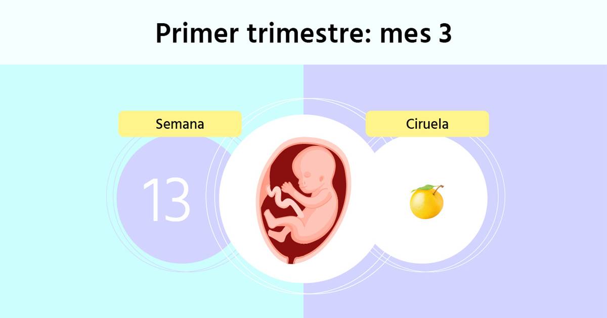 Semana 13 de embarazo: cuáles son síntomas y mide el feto