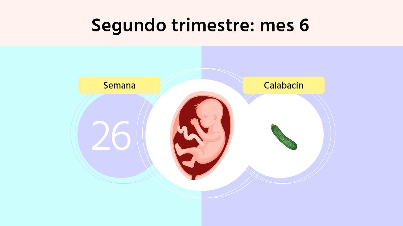 civilización Inconcebible Analítico Semana 26 de embarazo: aumenta el cansancio y otros síntomas