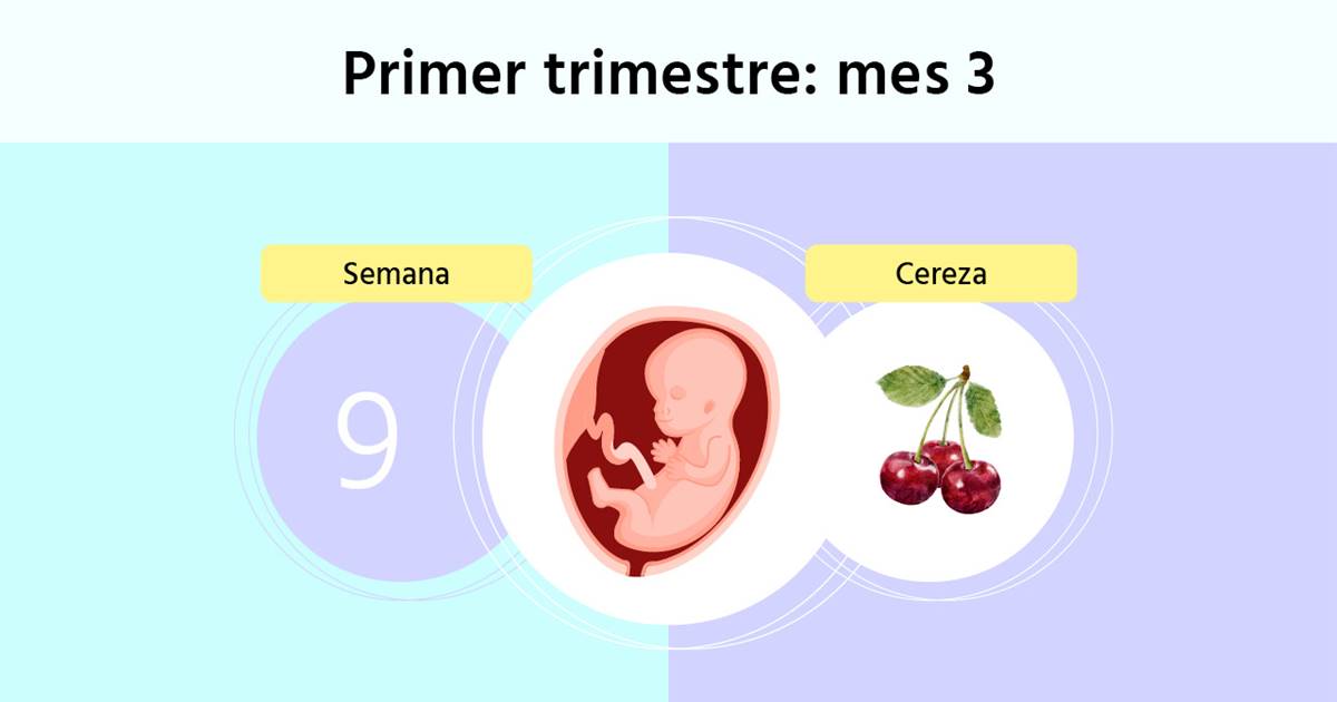 Semana 9 de embarazo: qué cambios nota la madre y cuáles son los riesgos Semana 9 de embarazo: qué cambios nota la madre y cuáles son los riesgos